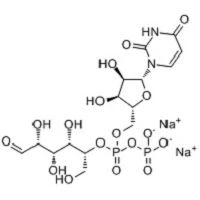 5'-difososoglucoza natriy tuzi (UDPG); Cas yo'q. 28053-08-9